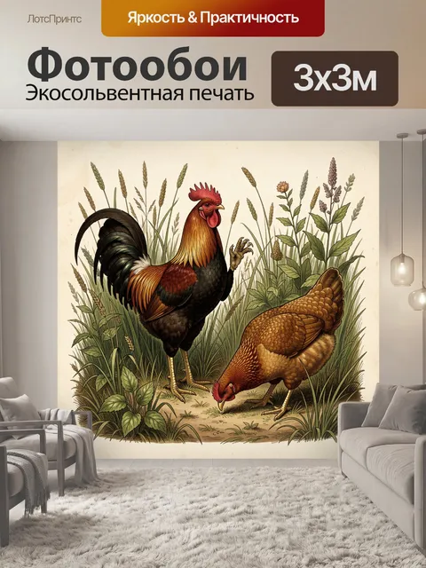 Фотообои Петух и курица в траве