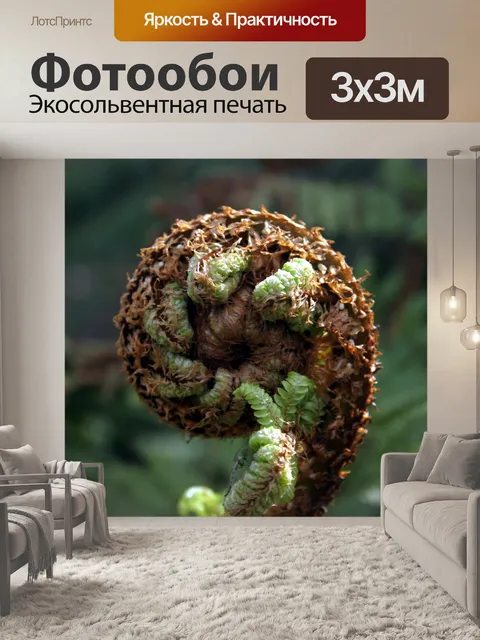 Фотообои Новая Зеландия папоротника