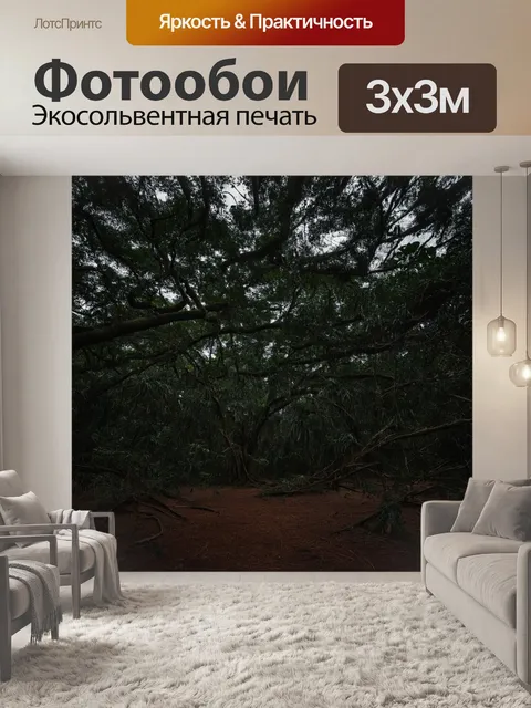 Фотообои джунгли в черно-белом стиле