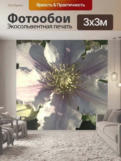 Фотообои Полоска