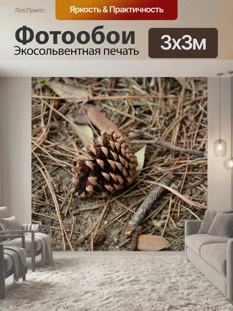 Фотообои Сосновая шишка