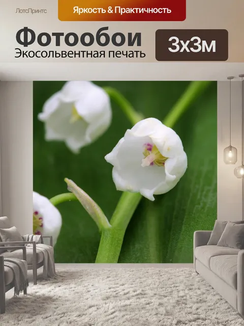 Фотообои Ландыш