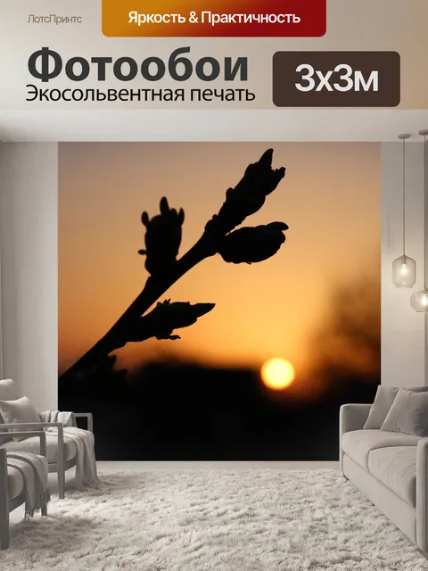 Фотообои Рассвет