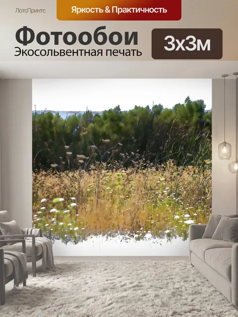 Фотообои поле
