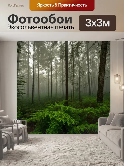 Фотообои лес с утренним туманом, окутывающим низкие растения