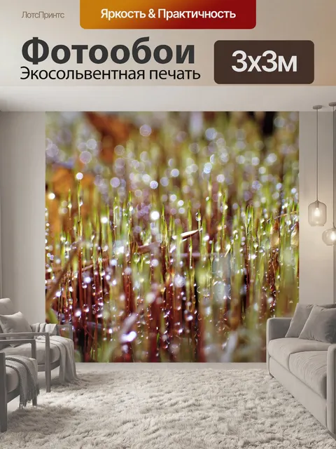 Фотообои Влажный