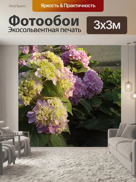 Фотообои Гортензия