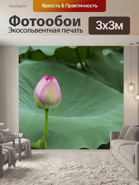 Фотообои Лотос