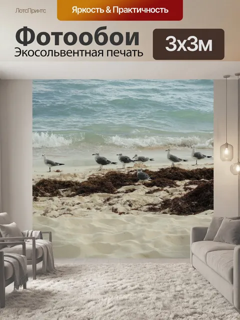 Фотообои Чайки на пляже