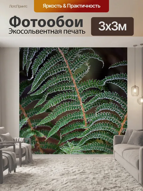 Фотообои Морозный папоротника
