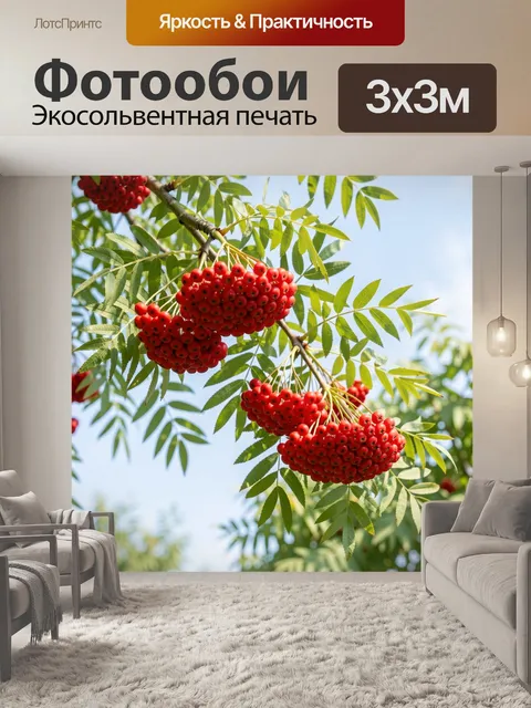 Фотообои Красные гроздья рябины на ветке