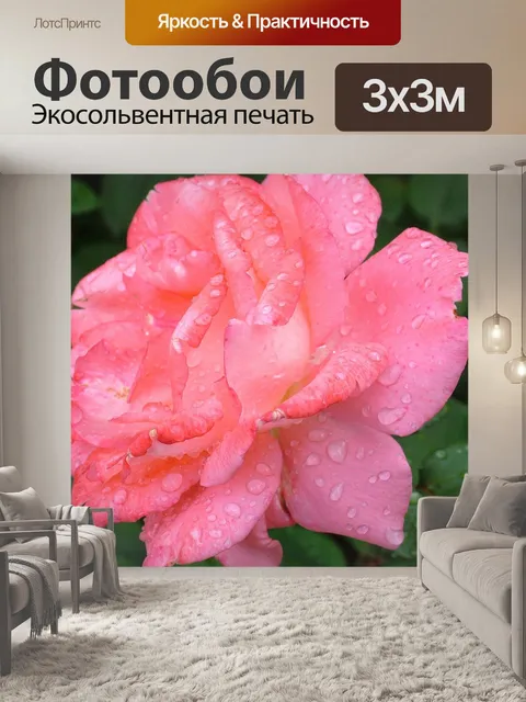 Фотообои Роза