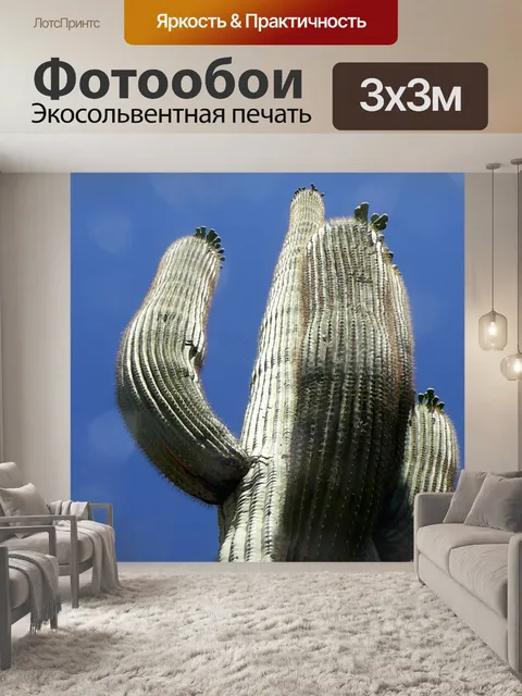 Фотообои Высокий Сагуаро Кактус