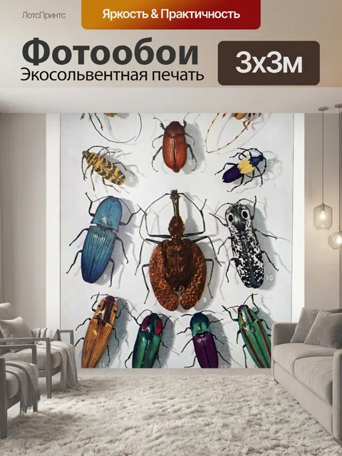 Фотообои насекомые жуки бабочки искусство