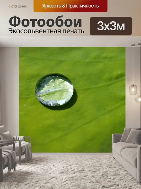 Фотообои Цветок лотоса