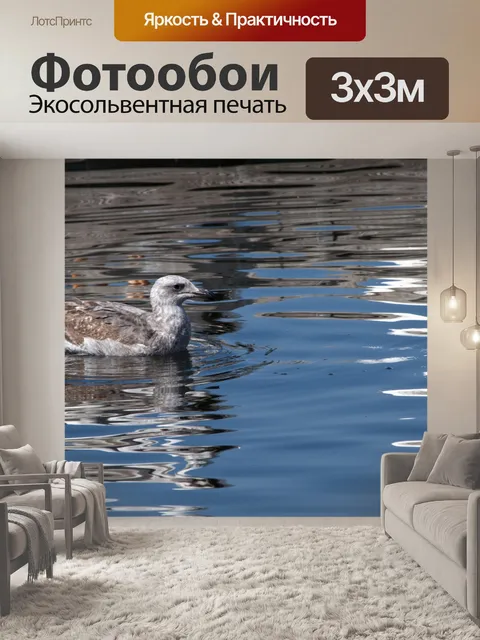 Фотообои Детская чайка в озере