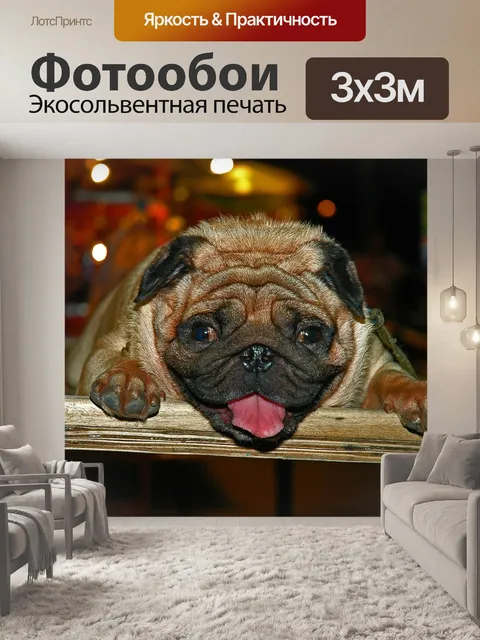 Фотообои Маленькая собака