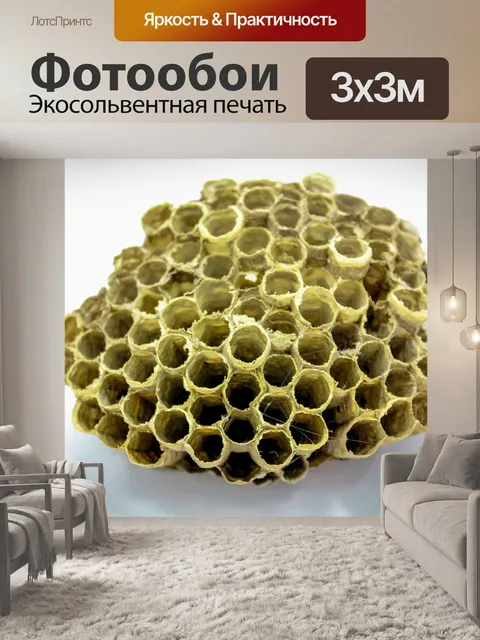Фотообои Пчелиный улей мед