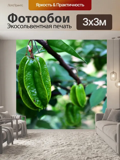 Фотообои Зеленая звезда яблок на дереве