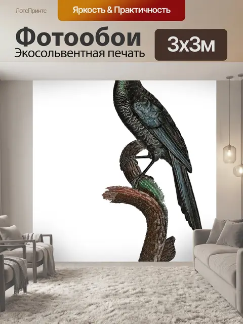 Фотообои Манукод