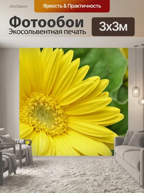 Фотообои Желтая гербера Дейзи крупным планом
