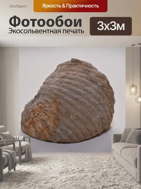 Фотообои Ископаемое