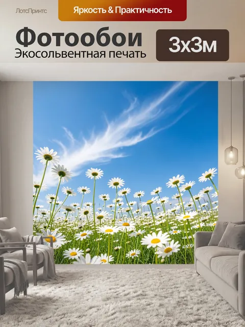 Фотообои Ромашковое поле под синим небом