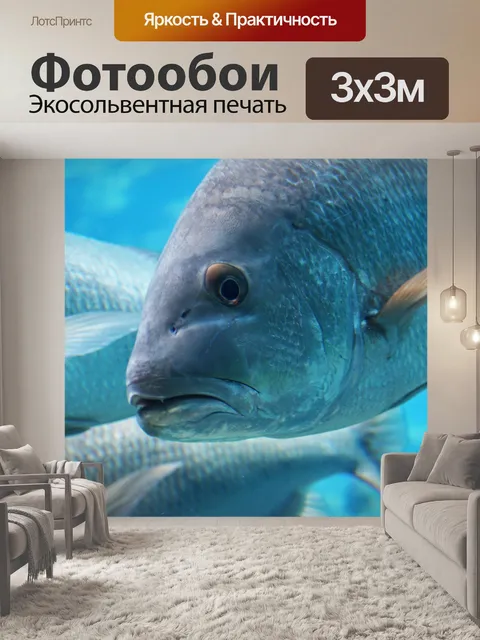 Фотообои рыба в аквариуме закрыть