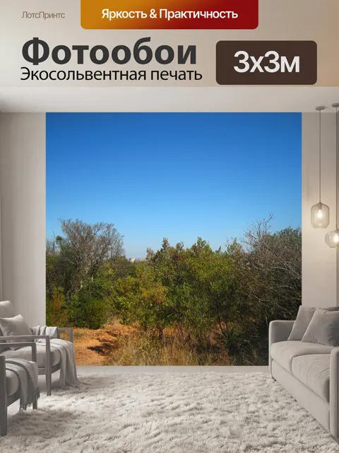 Фотообои вид на густой куст в Южной Африке