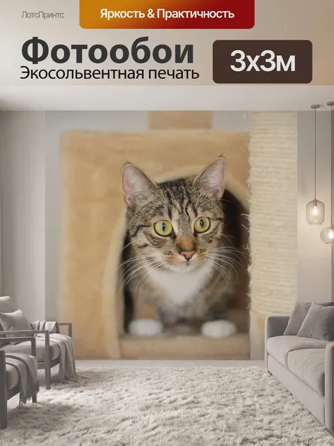 Фотообои Кошка кошки