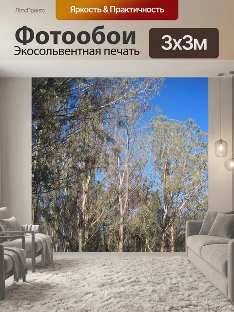 Фотообои эвкалипты