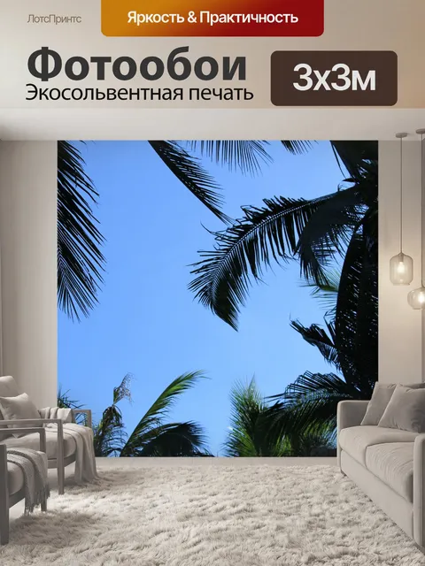 Фотообои Кокосовое Дерево и голубое небо