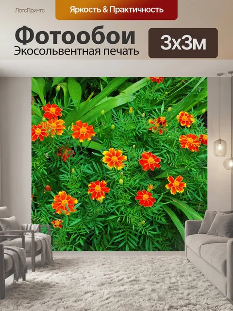 Фотообои Цветы