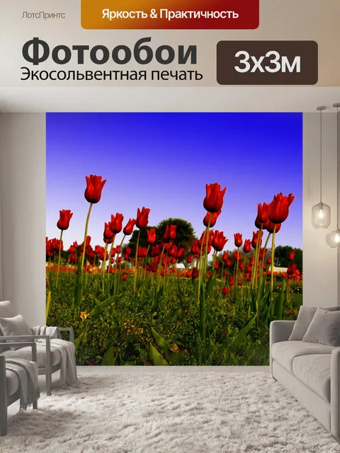 Фотообои Красный тюльпан