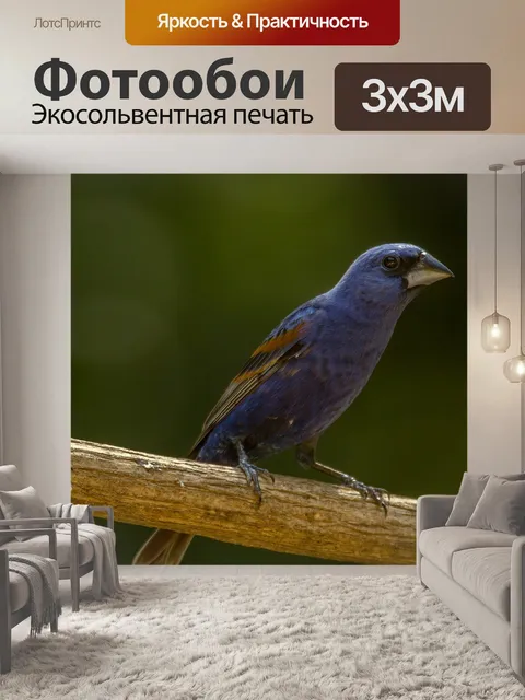 Фотообои Индиго овсянка