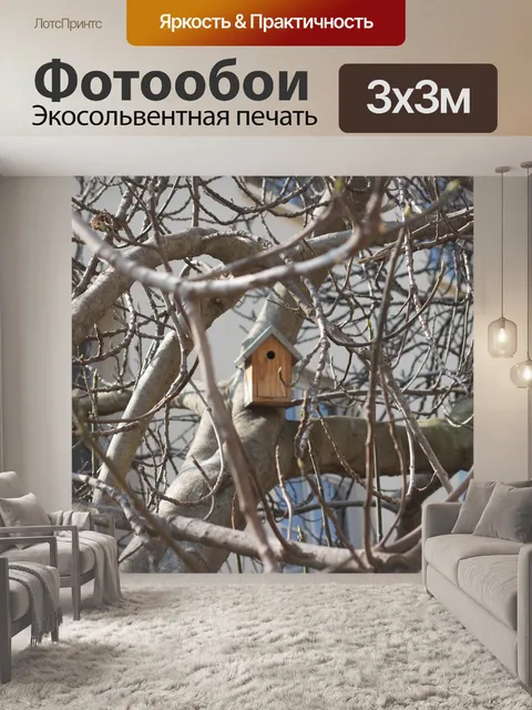 Фотообои Париж