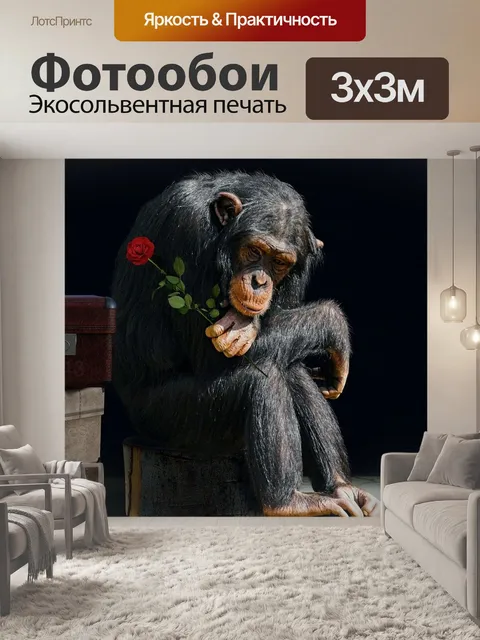 Фотообои Черный