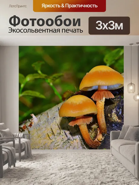 Фотообои Лес