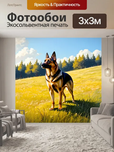 Фотообои на фоне залитого солнечным светом луга