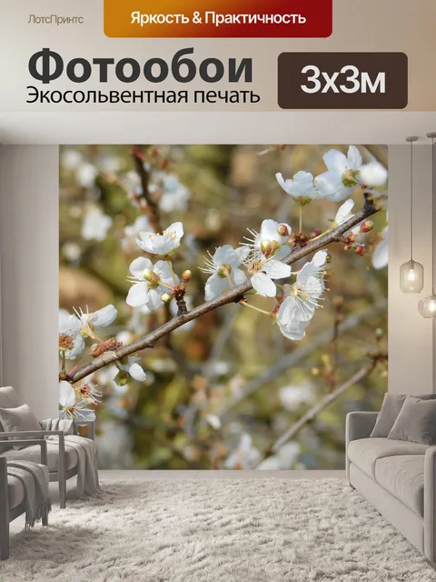 Фотообои Белые цветки