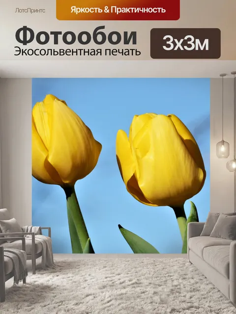 Фотообои Два желтых тюльпана