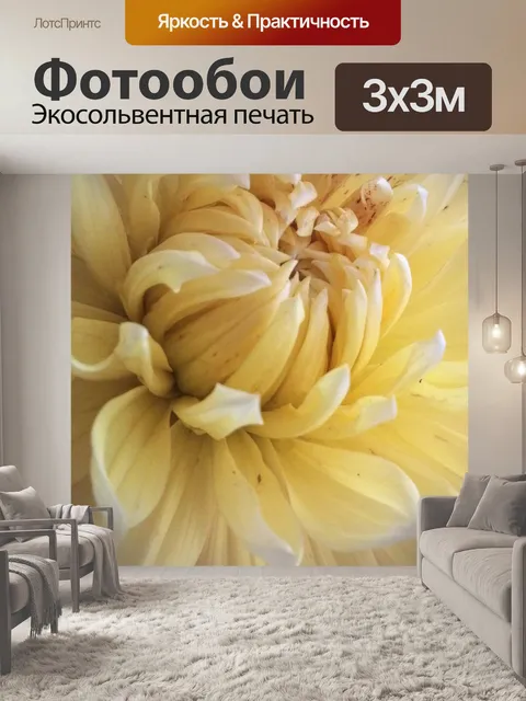 Фотообои Донна Георгины