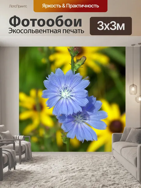 Фотообои Васильковый