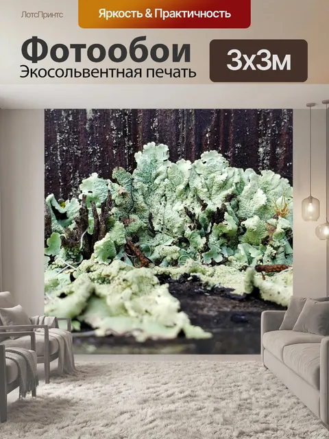 Фотообои Крошечный зеленый мох на заборе