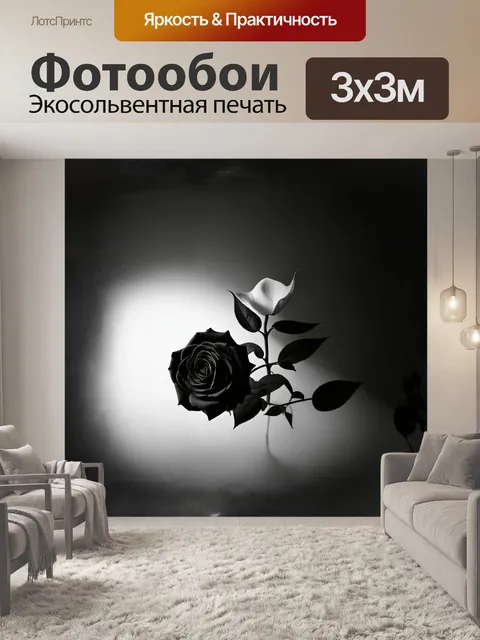 Фотообои черно-белая роза в минималистическом интерьере с мягким освещением и тенью