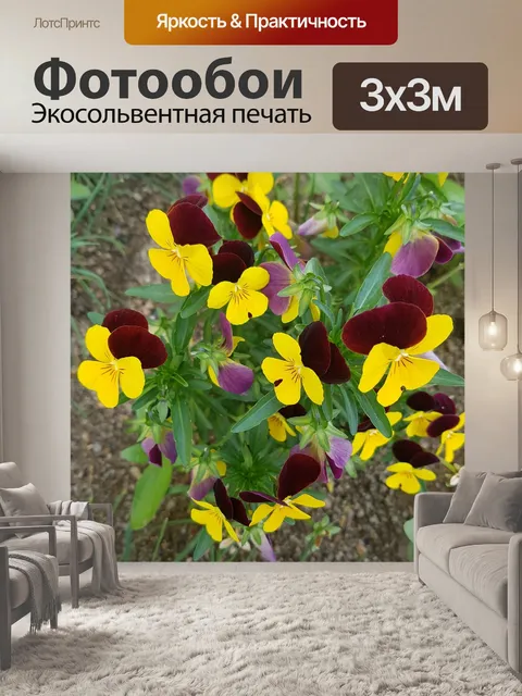 Фотообои Желтый цветок