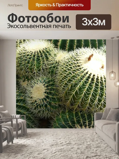 Фотообои Золотой шар кактус