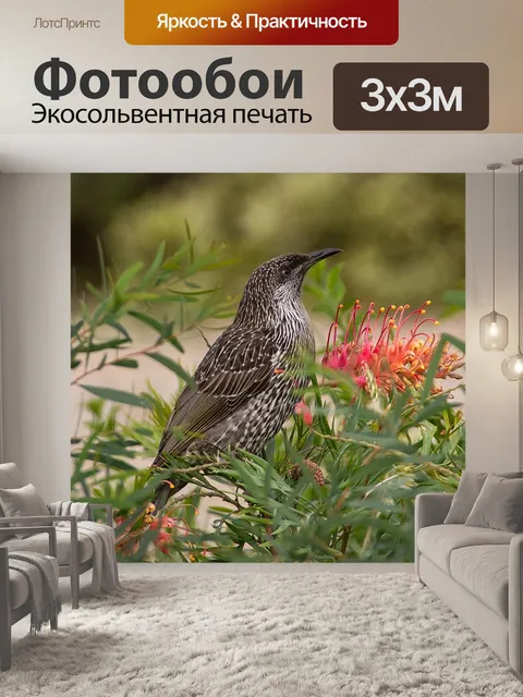 Фотообои Маленькая птичка