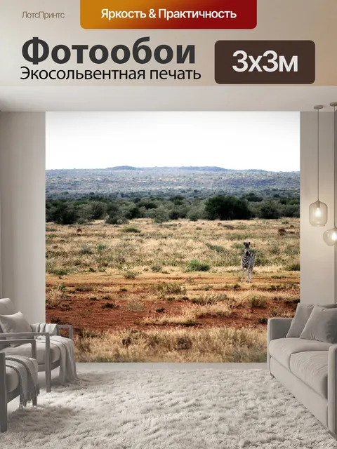 Фотообои Зебра