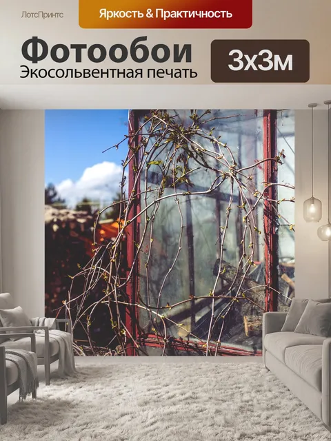 Фотообои Лоза